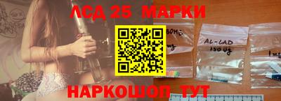 СК Можга