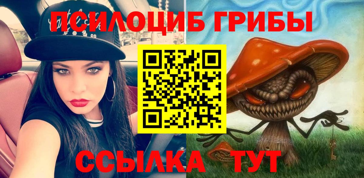 Евпатория  Псилоцибиновые грибы Cubensis  где найти наркотики  Вход с VPN 