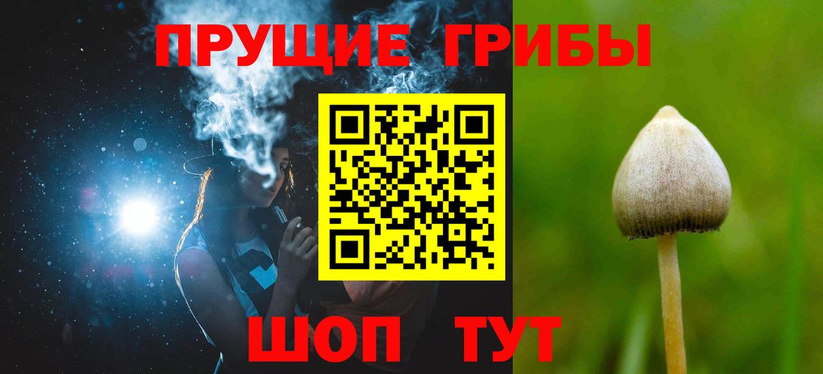 Псилоцибиновые грибы Psilocybine cubensis Евпатория